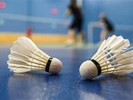 Badminton Shuttlecock