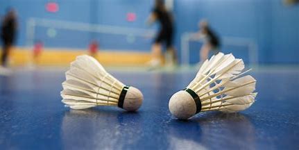 Badminton Shuttlecock